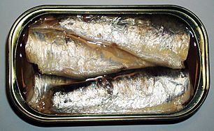 Archivo:2006 sardines can open top