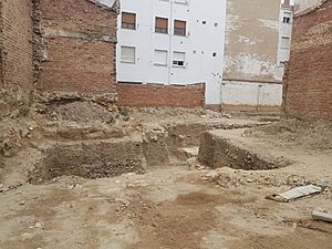 Archivo:Archaeological excavations Pallantia - Canónigo San Martín 001