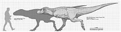 Archivo:Aucasaurus garridoi Scale Diagram