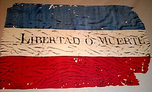 Archivo:Bandera de los Treinta y Tres Orientales original
