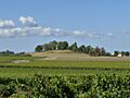 Blaignan castle hill