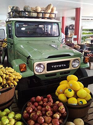 Archivo:Camioneta Toyota Bandeirante de 1982, expuesta en la Frutería Paraguarí, sobre la Ruta PY01