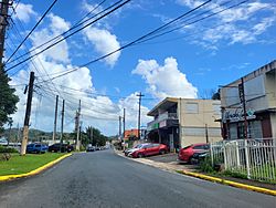 Carretera PR-165R, Toa Alta, Puerto Rico.jpg