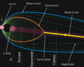 Currents in Jovian Magnetosphere