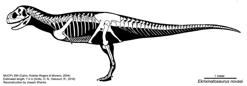 Ekrixinatosaurus novasi skeletal diagram