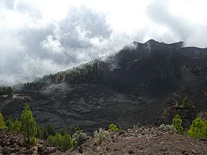 Archivo:El Duraznero, La Palma 05