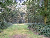 Archivo:Epping Forest 3