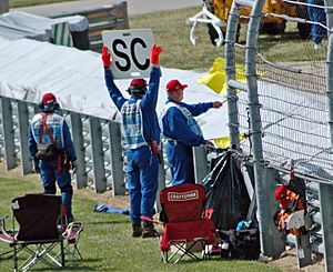 Archivo:F1 yellow flag and SC sign