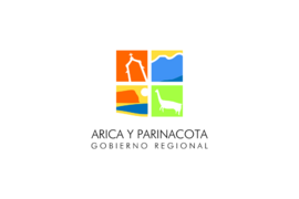 Flag of Arica y Parinacota, Chile
