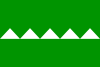 Flag of Salinas, Puerto Rico.svg