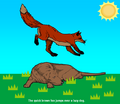 FoxJumpingDog1