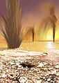 Geysers on Mars