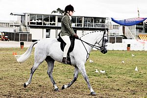 Archivo:Horse riding in coca cola arena - melbourne show 2005