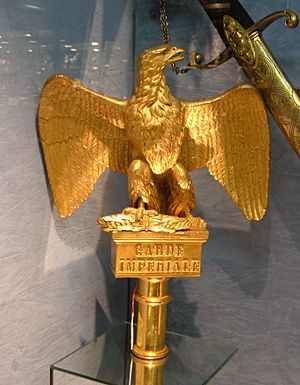 Archivo:Imperial Guard Eagle, Louvre des Antiquaires