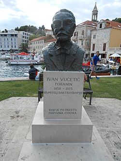 Archivo:Ivan Vucetic Bust in Hvar