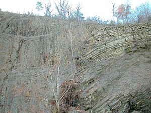 Archivo:Junction fault 0112