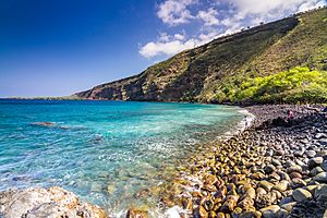 Archivo:Kealakekua Bay in the morning