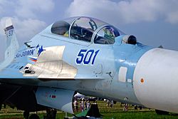 Archivo:MAKS-2007-Su-30MK-1