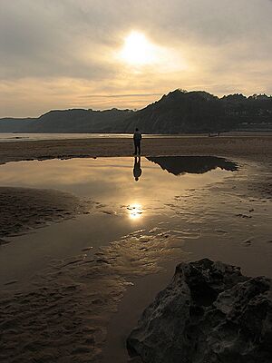 Archivo:Meta Reflecting, Caswell Bay - geograph.org.uk - 409459