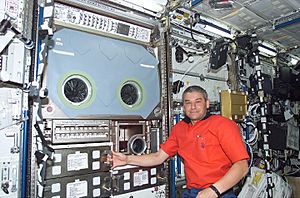 Archivo:Microgravity Science Glovebox with Korzun