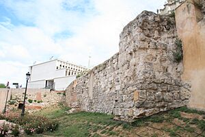 Archivo:Murallas de Madrid - 02