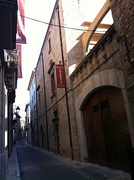 Palau Solterra de Torroella de Montgrí.jpg