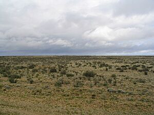 Archivo:Patagonian plains argentina