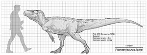 Archivo:Piatnitzkysaurus floresi reconstruction