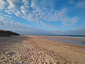 Archivo:Playa La Ballena, Rota