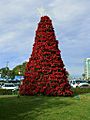 Poinsettia tree