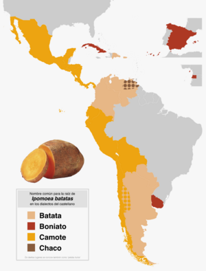 Archivo:Porpaís batata boniato camote