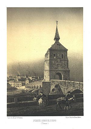 Archivo:Puente sobre el Duero en Zamora (1861) - Parcerisa, F. J.