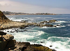 Archivo:Punta de Tralca