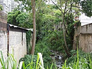 Archivo:Quebrada Sebucán