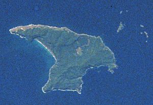 Archivo:Raoul Island, New Zealand (STS008-36-1403, cropped rotated)