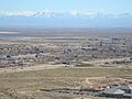 Rosamond