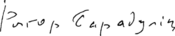 Ryhor Baradulin Signature.png