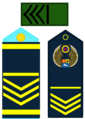 SM2AMB