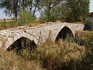 Archivo:Sasamon Burgos Puente romano