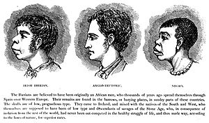 Archivo:Scientific racism irish