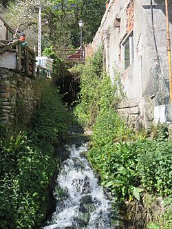Sienra SMRA entorno 6.JPG