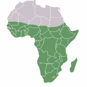Archivo:Sub-Saharan Africa with borders