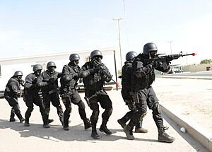 Archivo:USMC-120109-M-6037K-293