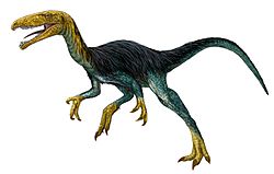 Velocisaurus.jpg