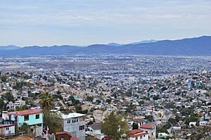 Archivo:Vista panorámica Tijuana Sánchez Taboada