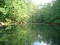 Waldmichelbacher See