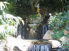 Yogananda Center - Small Waterfall