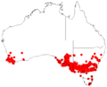 Acacia pycnanthaDistMap739