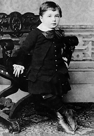 Archivo:Albert Einstein at the age of three (1882)