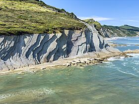 Algorri Flysch.jpg
